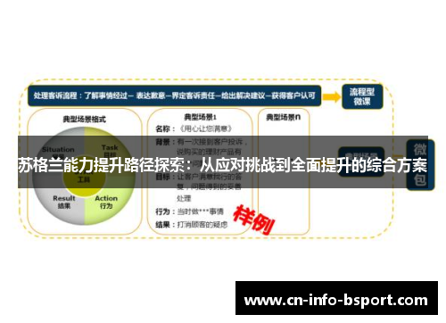 苏格兰能力提升路径探索：从应对挑战到全面提升的综合方案