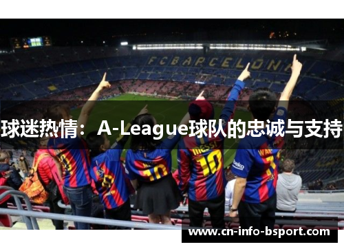 球迷热情：A-League球队的忠诚与支持
