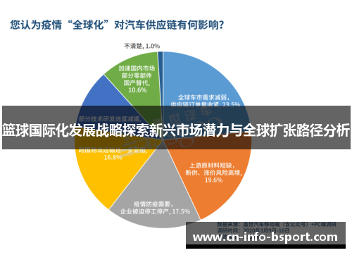篮球国际化发展战略探索新兴市场潜力与全球扩张路径分析